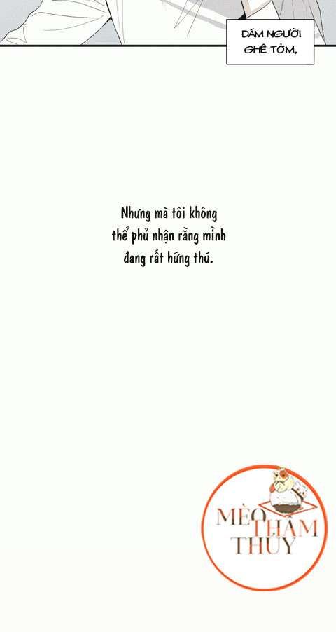 đọc truyện Chiếu Tướng Chương 2 ảnh 28 tại Thiên Thai Truyện