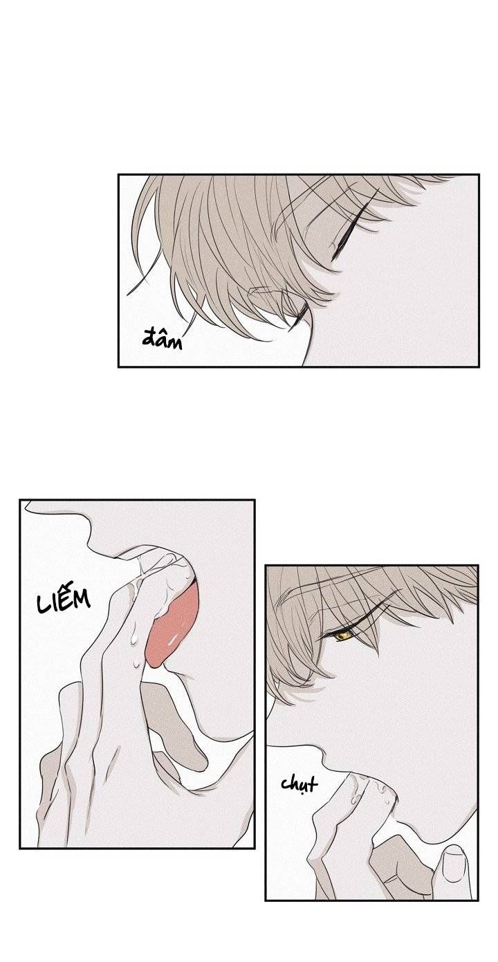 đọc truyện Chiếu Tướng Chương 27 ảnh 24 tại Thiên Thai Truyện