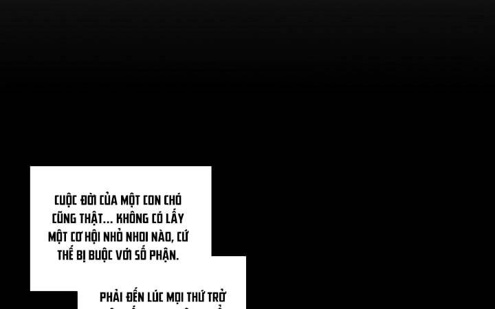 đọc truyện Chiếu Tướng Chương 29 ảnh 87 tại Thiên Thai Truyện