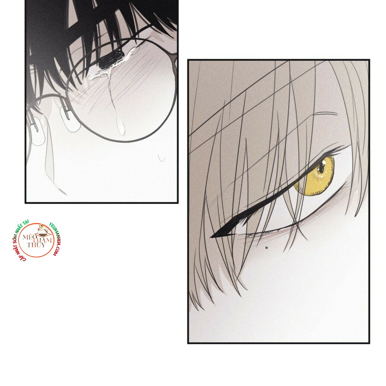 đọc truyện Chiếu Tướng Chương 44 ảnh 113 tại Thiên Thai Truyện