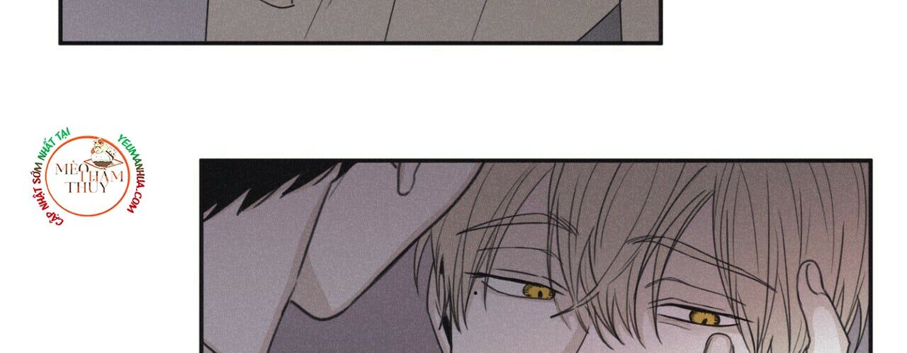 đọc truyện Chiếu Tướng Chương 44 ảnh 40 tại Thiên Thai Truyện