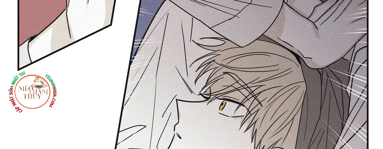 đọc truyện Chiếu Tướng Chương 45 ảnh 45 tại Thiên Thai Truyện