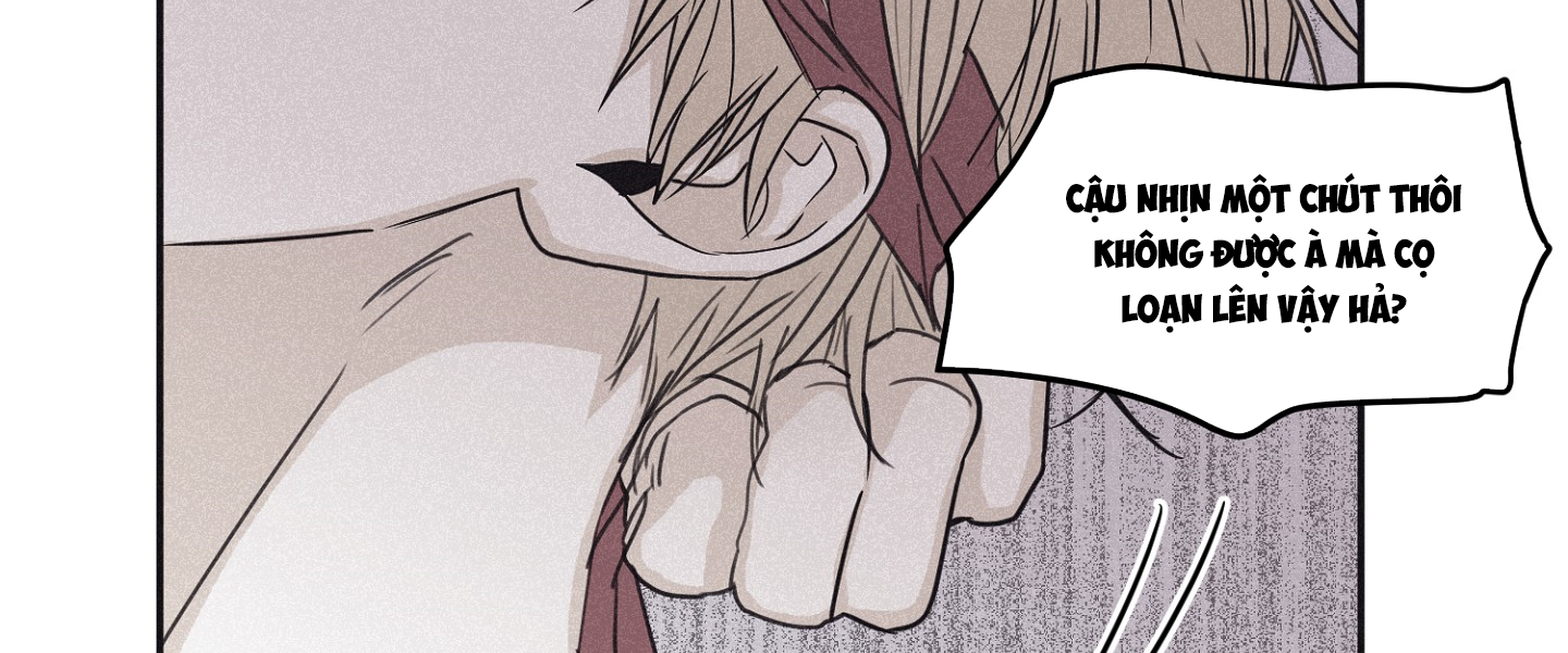 đọc truyện Chiếu Tướng Chương 58 ảnh 221 tại Thiên Thai Truyện