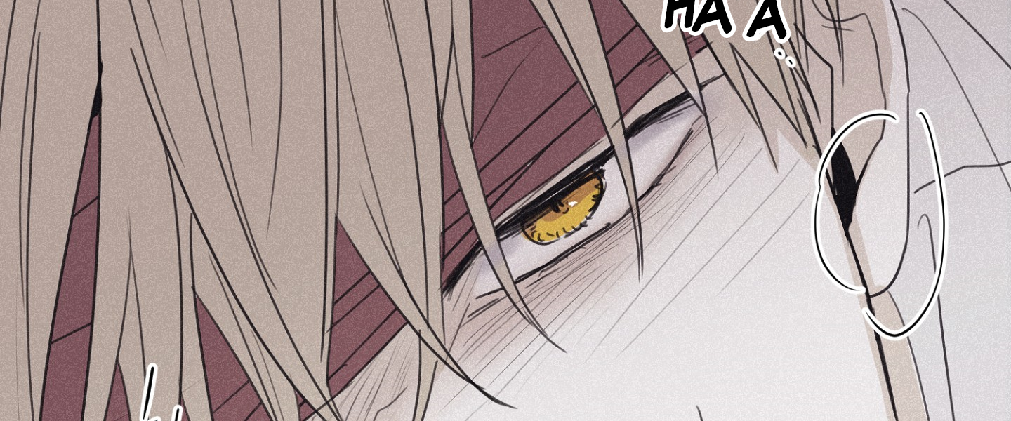 đọc truyện Chiếu Tướng Chương 58 ảnh 233 tại Thiên Thai Truyện