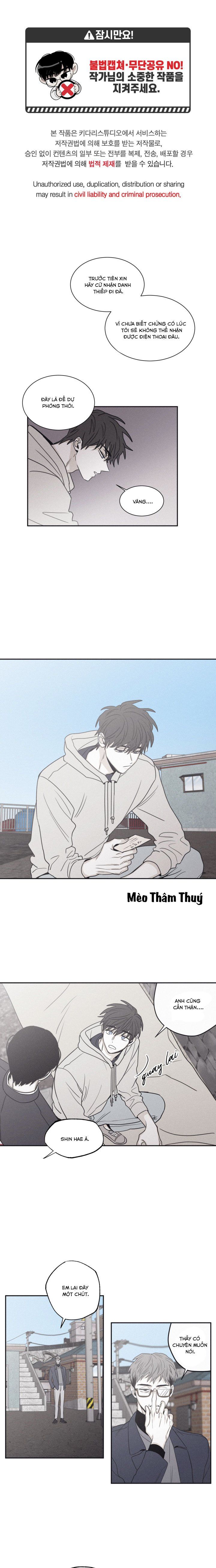 đọc truyện Chiếu Tướng Chương 70 ảnh 3 tại Thiên Thai Truyện