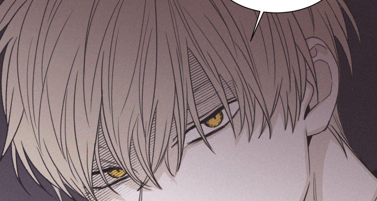 đọc truyện Chiếu Tướng Chương 75 ảnh 169 tại Thiên Thai Truyện