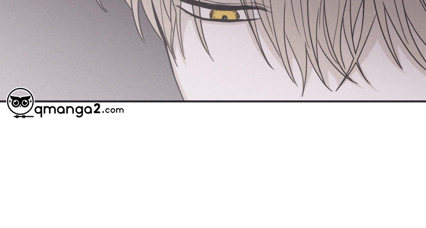 đọc truyện Chiếu Tướng Chương 75 ảnh 216 tại Thiên Thai Truyện