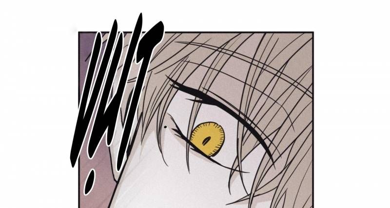 đọc truyện Chiếu Tướng Chương 76 ảnh 62 tại Thiên Thai Truyện