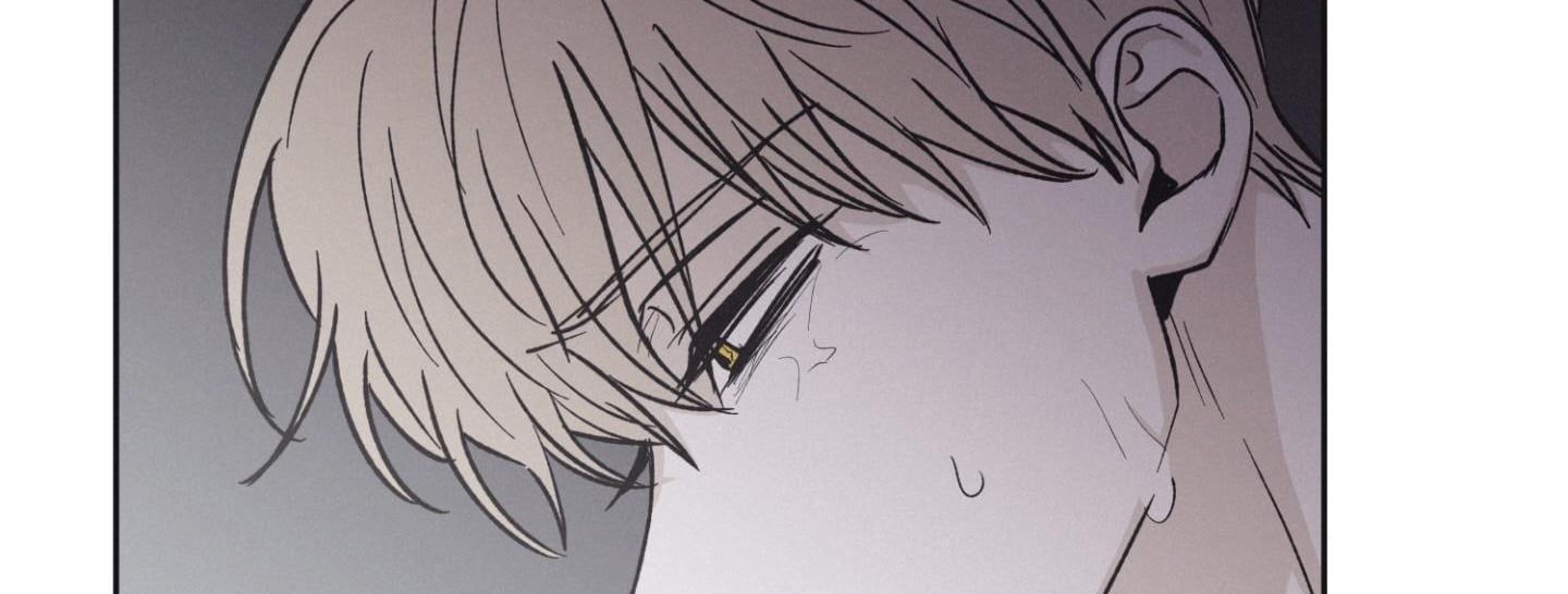 đọc truyện Chiếu Tướng Chương 78 ảnh 211 tại Thiên Thai Truyện