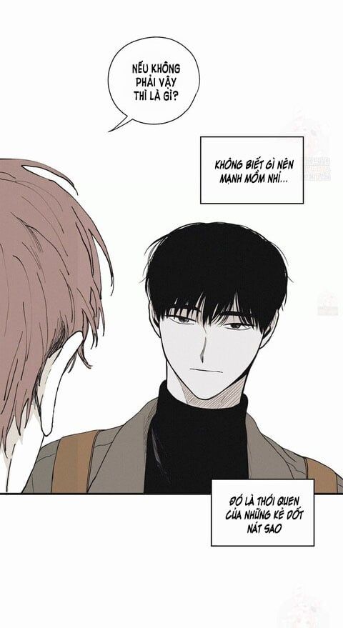 đọc truyện Chiếu Tướng Chương 8 ảnh 23 tại Thiên Thai Truyện