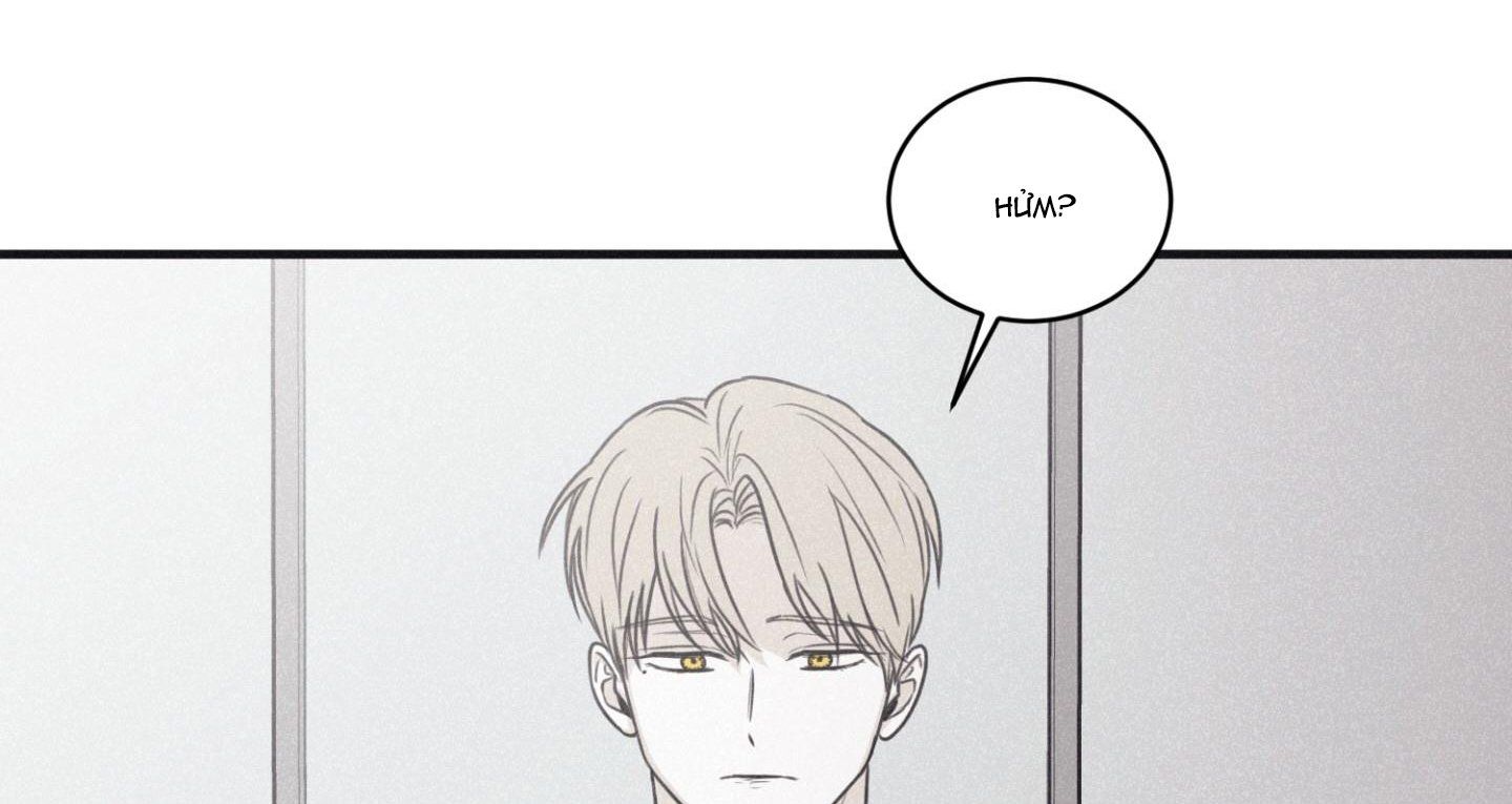 đọc truyện Chiếu Tướng Chương 80 ảnh 30 tại Thiên Thai Truyện