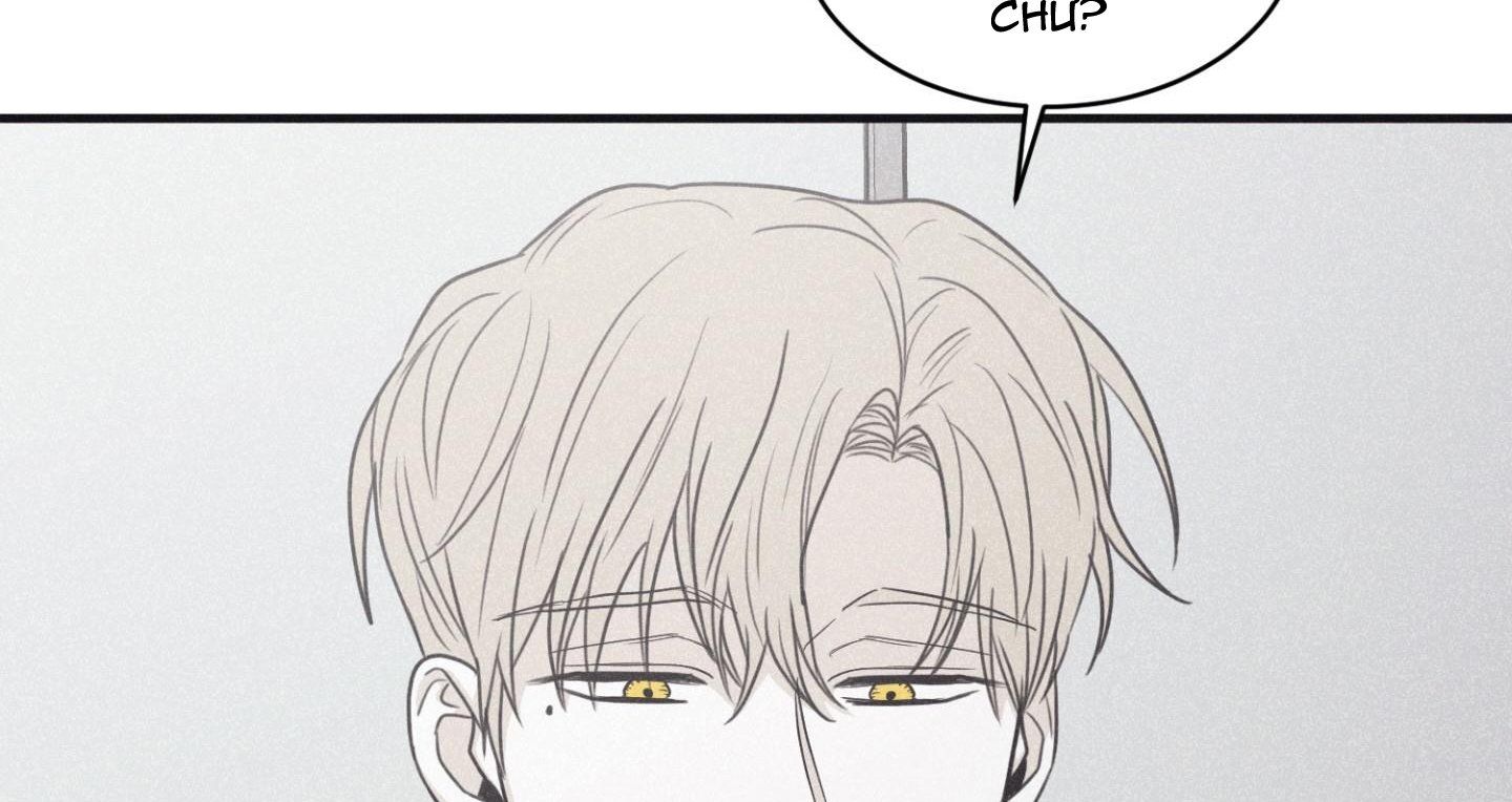 đọc truyện Chiếu Tướng Chương 80 ảnh 92 tại Thiên Thai Truyện