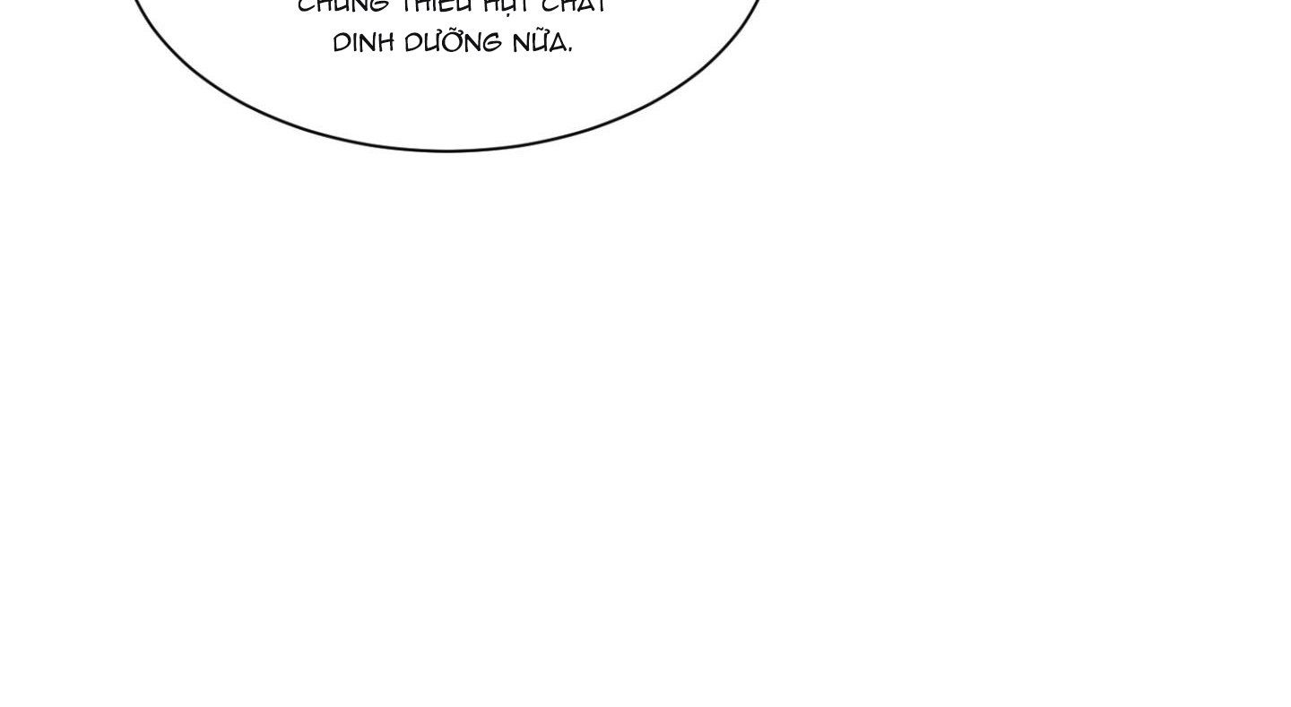 đọc truyện Chiếu Tướng Chương 86 ảnh 73 tại Thiên Thai Truyện