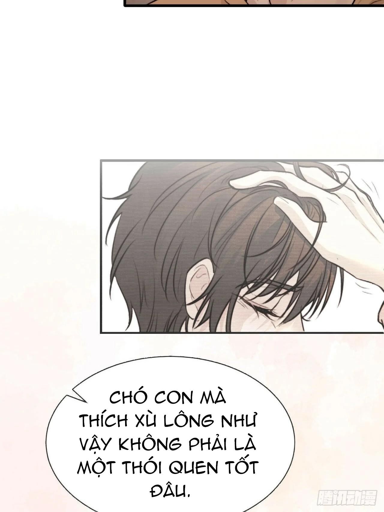 đọc truyện Chó Hư Khó Giữ Chương 22 ảnh 37 tại Truyện Dạ Ký