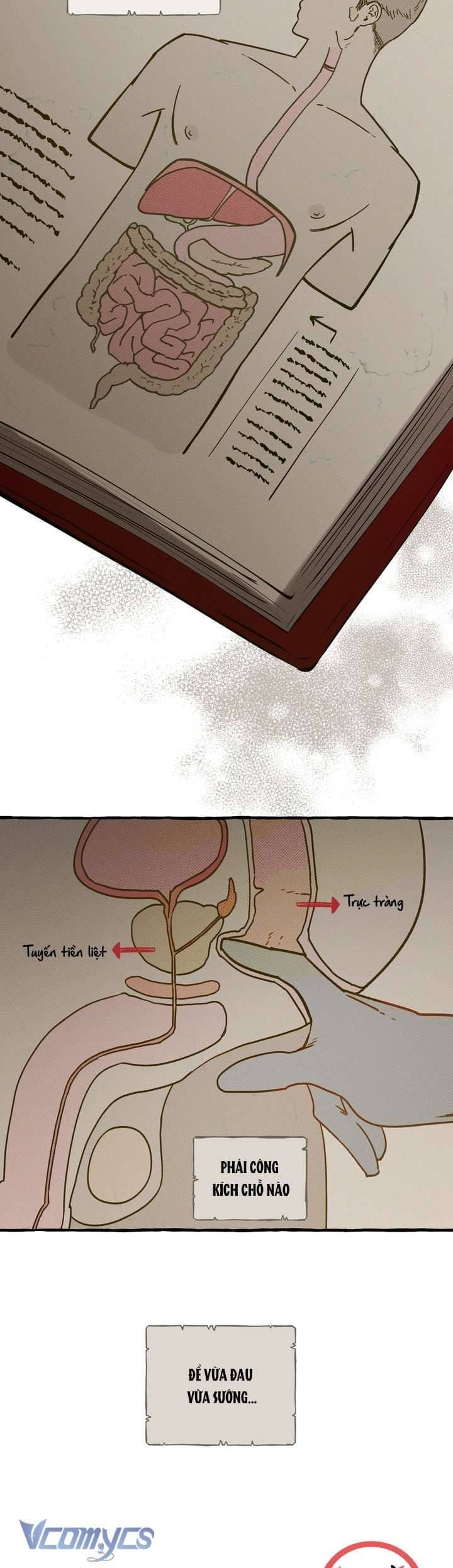 đọc truyện Chó Sống Trong Khu Vườn Của Hoàng Cung Chương 76 ảnh 21 tại Thiên Thai Truyện