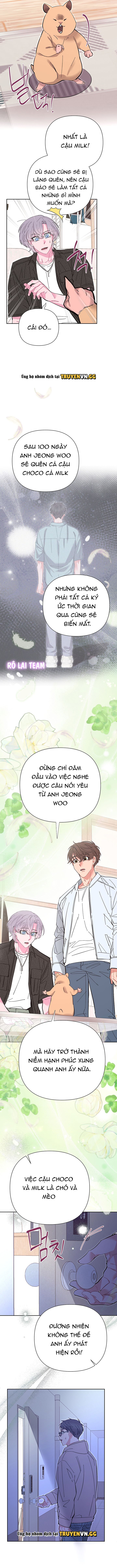đọc truyện Choco Milk Shake Chương 24 ảnh 8 tại Giả Dược