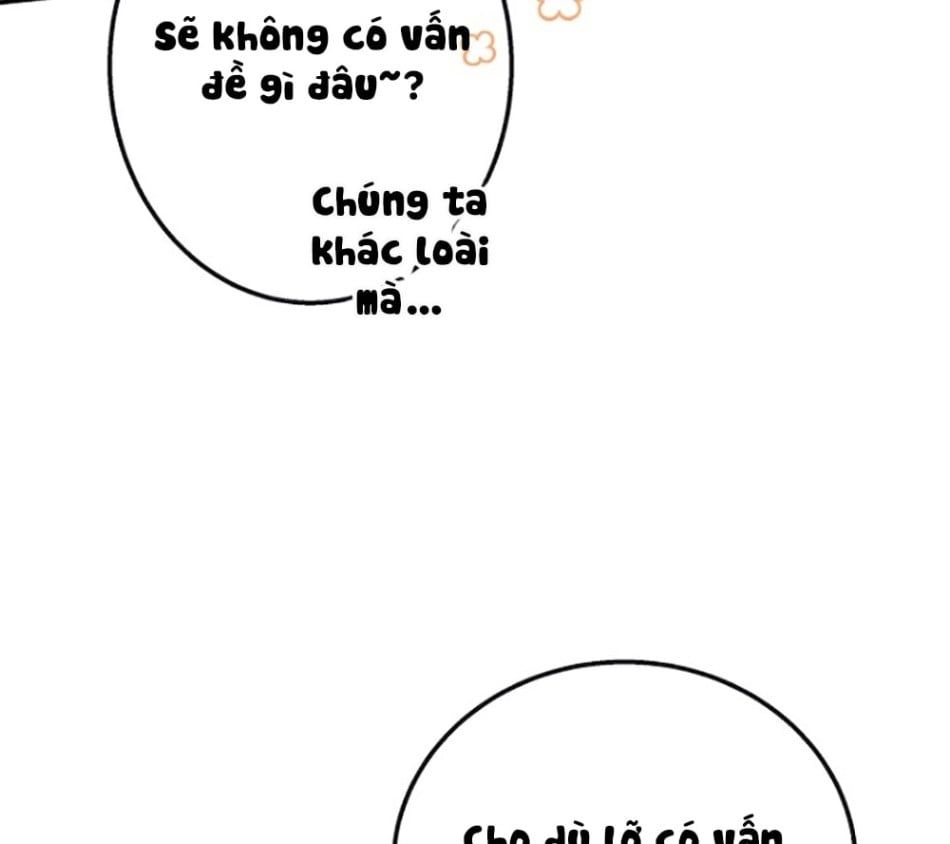 đọc truyện Chú Cá Kỳ Lạ Chương 10 ảnh 10 tại Giả Dược