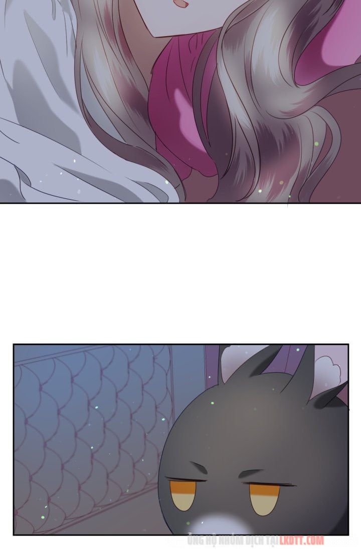 đọc truyện Chú Thỏ Quyền Quý Của Vị Công Nương Giả Mạo Chương 11 ảnh 27 tại Thiên Thai Truyện