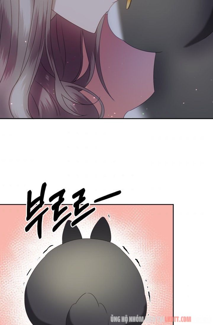 đọc truyện Chú Thỏ Quyền Quý Của Vị Công Nương Giả Mạo Chương 11 ảnh 33 tại Thiên Thai Truyện