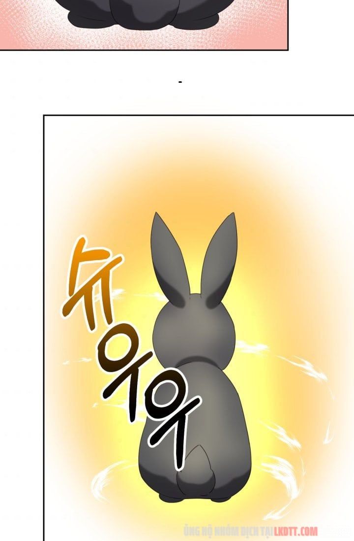 đọc truyện Chú Thỏ Quyền Quý Của Vị Công Nương Giả Mạo Chương 11 ảnh 34 tại Thiên Thai Truyện