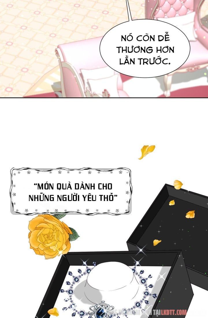 đọc truyện Chú Thỏ Quyền Quý Của Vị Công Nương Giả Mạo Chương 11 ảnh 8 tại Thiên Thai Truyện