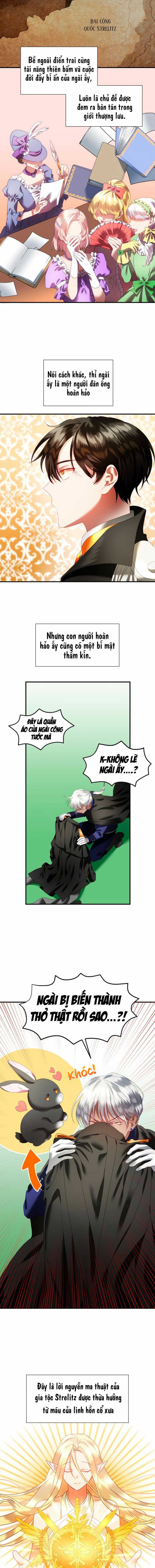 đọc truyện Chú Thỏ Quyền Quý Của Vị Công Nương Giả Mạo Chương 2 ảnh 7 tại Thiên Thai Truyện