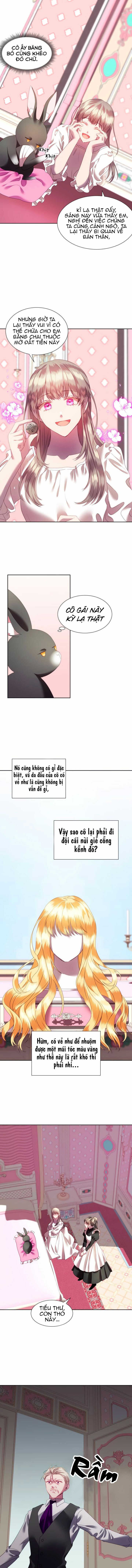 đọc truyện Chú Thỏ Quyền Quý Của Vị Công Nương Giả Mạo Chương 2 ảnh 10 tại Thiên Thai Truyện