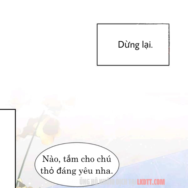 đọc truyện Chú Thỏ Quyền Quý Của Vị Công Nương Giả Mạo Chương 22 ảnh 33 tại Thiên Thai Truyện