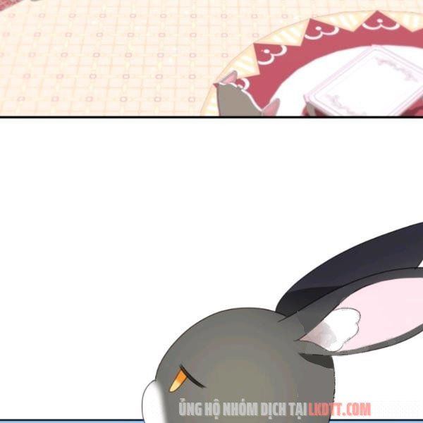 đọc truyện Chú Thỏ Quyền Quý Của Vị Công Nương Giả Mạo Chương 24 ảnh 40 tại Thiên Thai Truyện