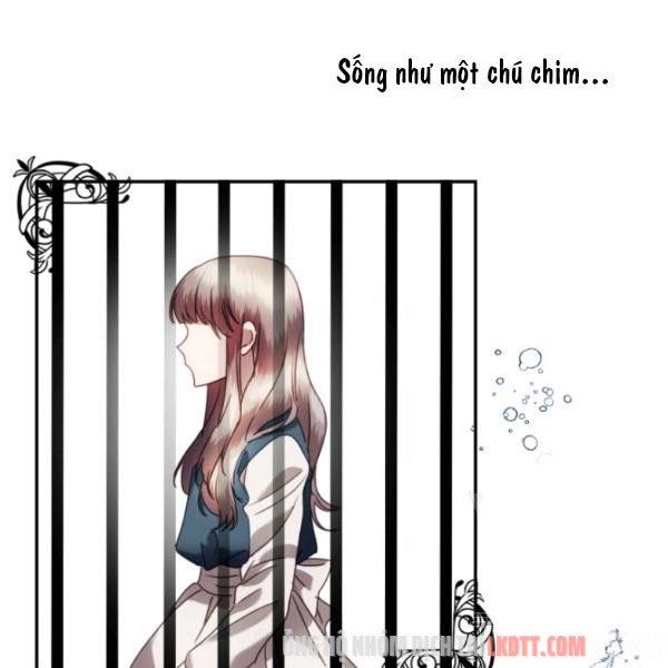 đọc truyện Chú Thỏ Quyền Quý Của Vị Công Nương Giả Mạo Chương 24 ảnh 56 tại Thiên Thai Truyện