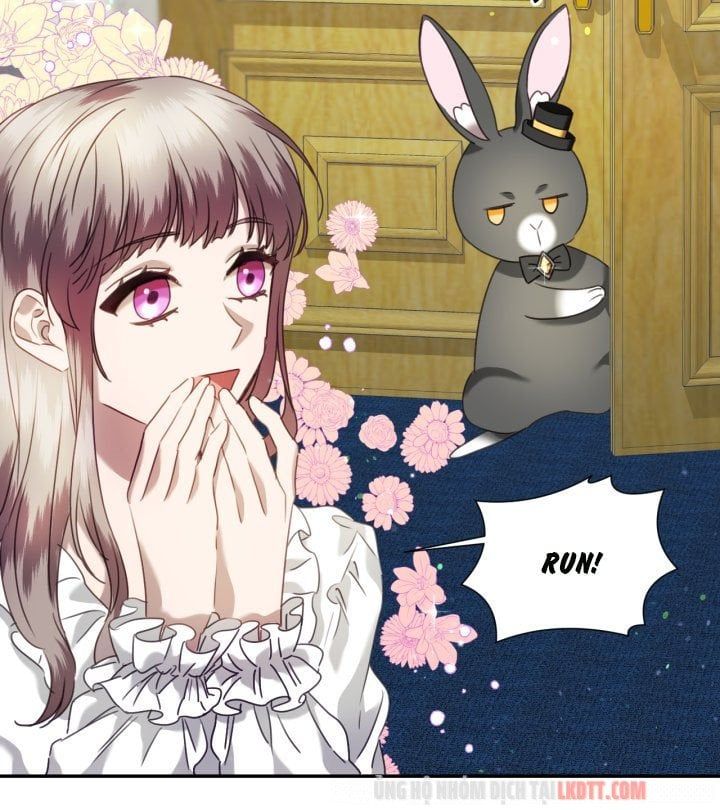 đọc truyện Chú Thỏ Quyền Quý Của Vị Công Nương Giả Mạo Chương 29 ảnh 18 tại Thiên Thai Truyện