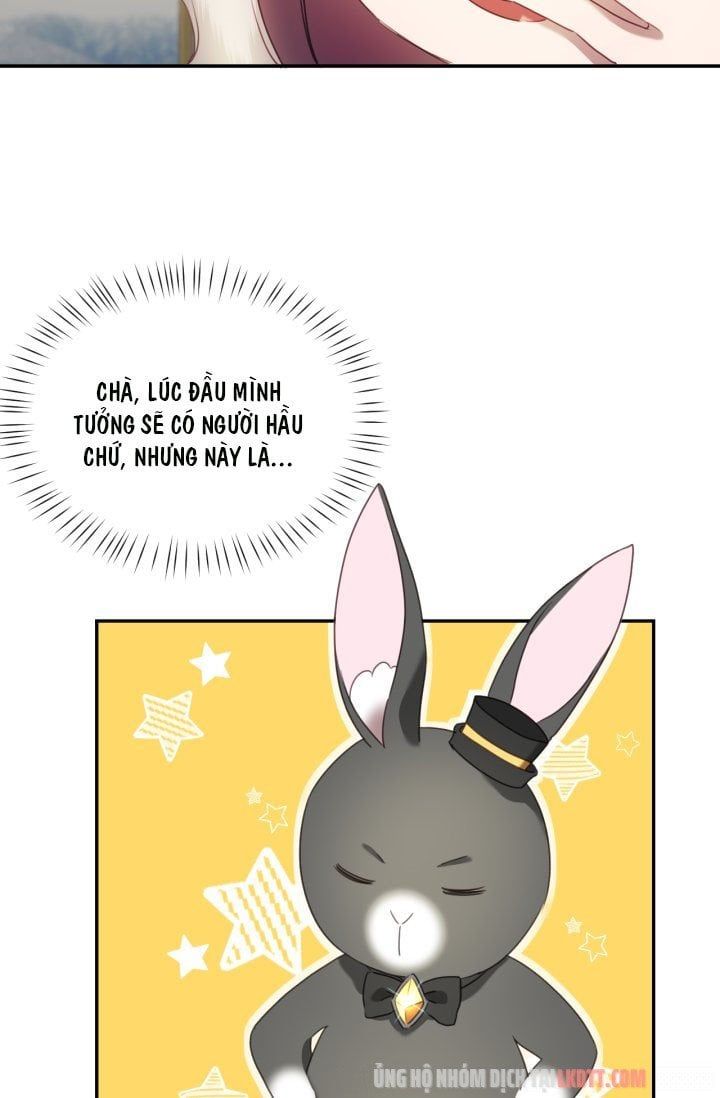 đọc truyện Chú Thỏ Quyền Quý Của Vị Công Nương Giả Mạo Chương 29 ảnh 23 tại Thiên Thai Truyện