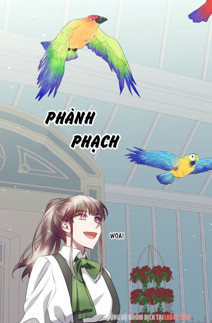 đọc truyện Chú Thỏ Quyền Quý Của Vị Công Nương Giả Mạo Chương 29 ảnh 55 tại Thiên Thai Truyện