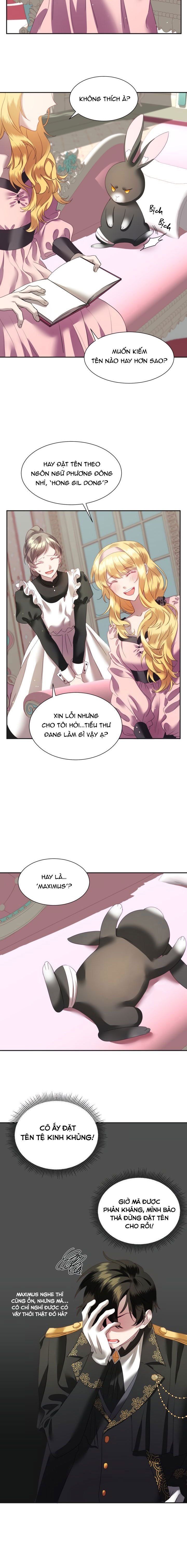 đọc truyện Chú Thỏ Quyền Quý Của Vị Công Nương Giả Mạo Chương 3 ảnh 13 tại Thiên Thai Truyện