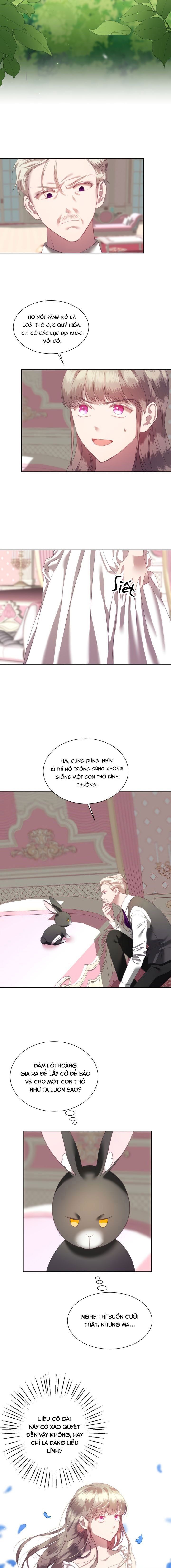 đọc truyện Chú Thỏ Quyền Quý Của Vị Công Nương Giả Mạo Chương 3 ảnh 6 tại Thiên Thai Truyện