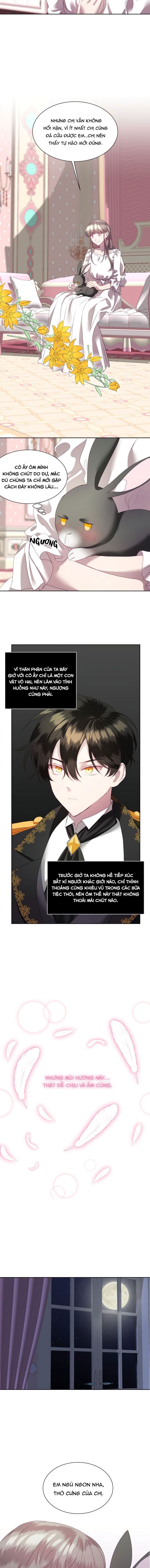 đọc truyện Chú Thỏ Quyền Quý Của Vị Công Nương Giả Mạo Chương 3 ảnh 8 tại Thiên Thai Truyện