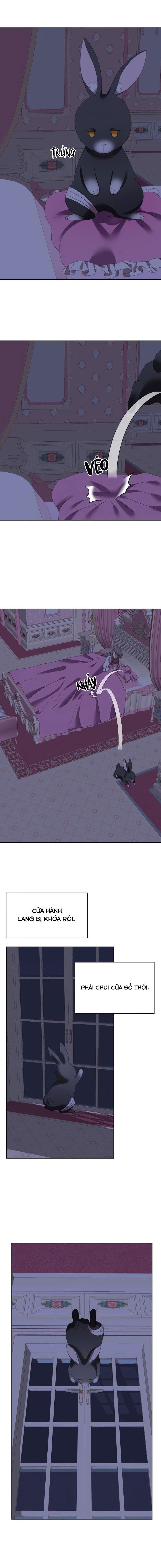 đọc truyện Chú Thỏ Quyền Quý Của Vị Công Nương Giả Mạo Chương 3 ảnh 10 tại Thiên Thai Truyện