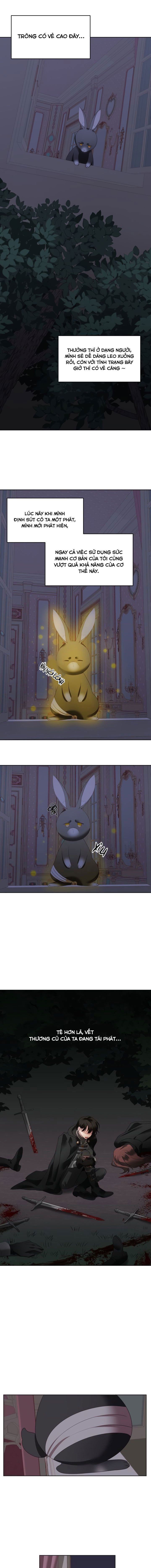 đọc truyện Chú Thỏ Quyền Quý Của Vị Công Nương Giả Mạo Chương 3 ảnh 11 tại Thiên Thai Truyện