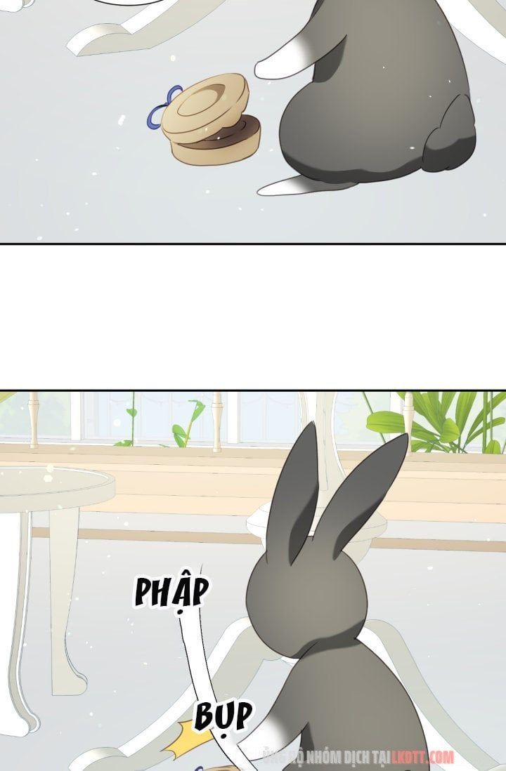 đọc truyện Chú Thỏ Quyền Quý Của Vị Công Nương Giả Mạo Chương 30 ảnh 37 tại Thiên Thai Truyện