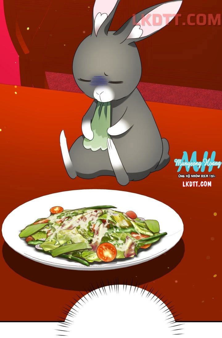 đọc truyện Chú Thỏ Quyền Quý Của Vị Công Nương Giả Mạo Chương 32 ảnh 30 tại Thiên Thai Truyện