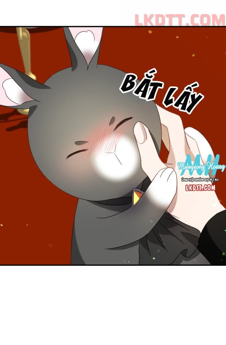 đọc truyện Chú Thỏ Quyền Quý Của Vị Công Nương Giả Mạo Chương 32 ảnh 50 tại Thiên Thai Truyện