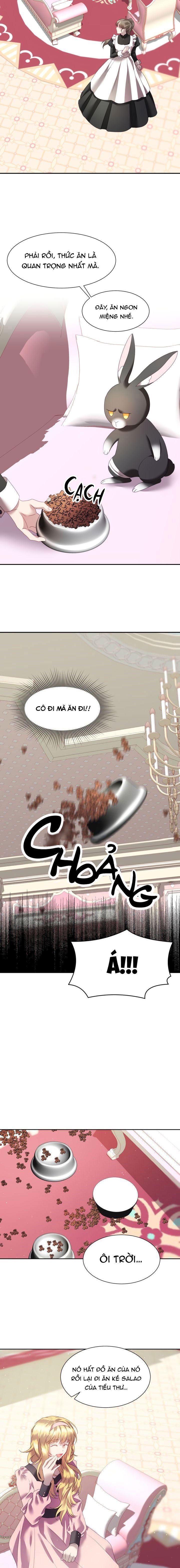 đọc truyện Chú Thỏ Quyền Quý Của Vị Công Nương Giả Mạo Chương 4 ảnh 5 tại Thiên Thai Truyện
