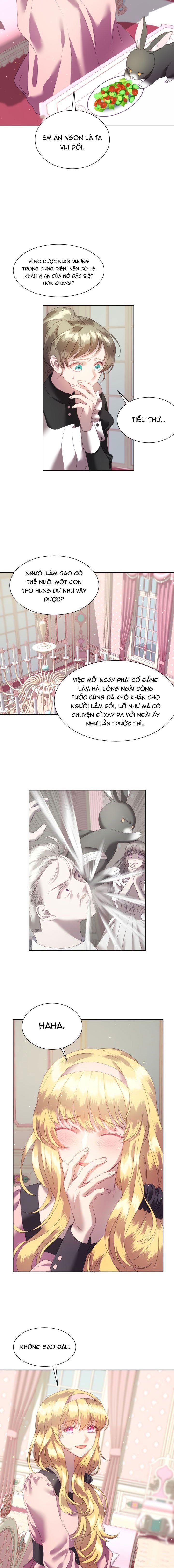 đọc truyện Chú Thỏ Quyền Quý Của Vị Công Nương Giả Mạo Chương 4 ảnh 6 tại Thiên Thai Truyện