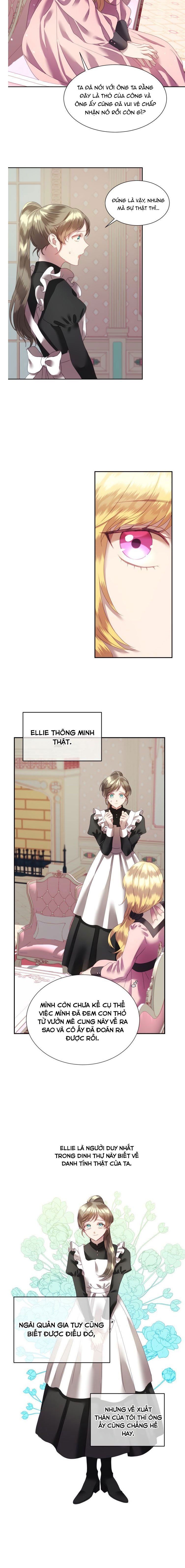 đọc truyện Chú Thỏ Quyền Quý Của Vị Công Nương Giả Mạo Chương 4 ảnh 7 tại Thiên Thai Truyện