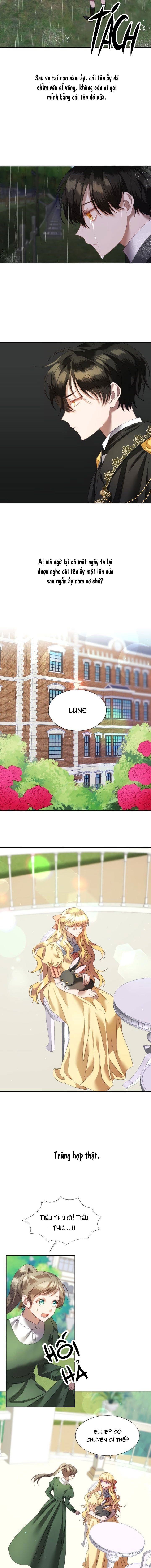 đọc truyện Chú Thỏ Quyền Quý Của Vị Công Nương Giả Mạo Chương 5 ảnh 5 tại Thiên Thai Truyện