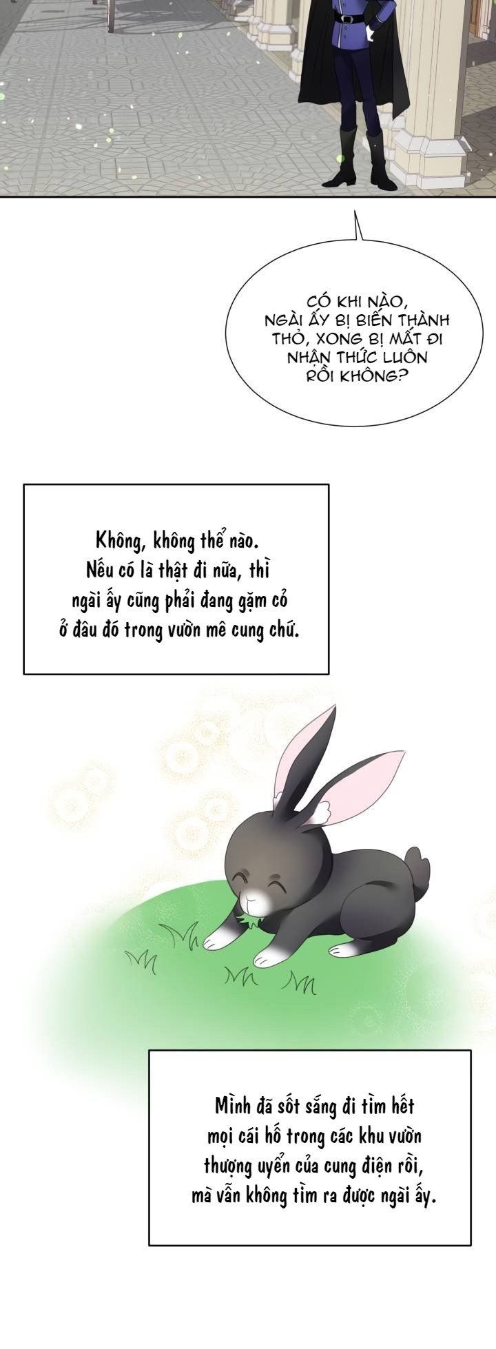 đọc truyện Chú Thỏ Quyền Quý Của Vị Công Nương Giả Mạo Chương 7 ảnh 7 tại Thiên Thai Truyện