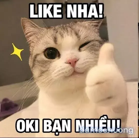 đọc truyện Chữa Trị Cho Ma Pháp Thiếu Nữ Vó Tu Chương 1 ảnh 23 tại Thiên Thai Truyện