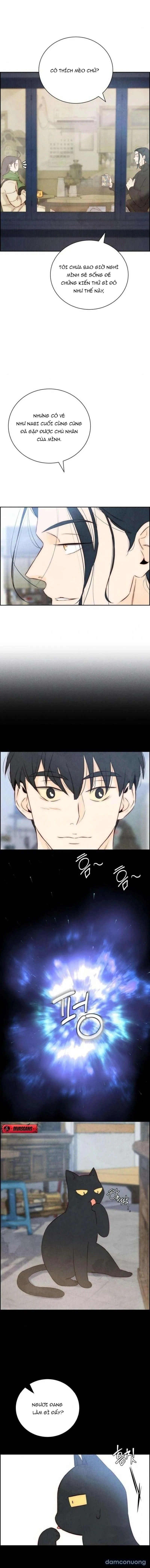 đọc truyện Chưa Từng Chạm Tới Em Chương 3 ảnh 10 tại Thiên Thai Truyện