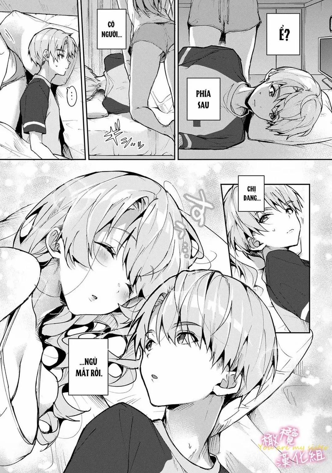 đọc truyện Chúng Tôi Là Tù Nhân Của Chị Gái Chương 0 ảnh 13 tại Thiên Thai Truyện