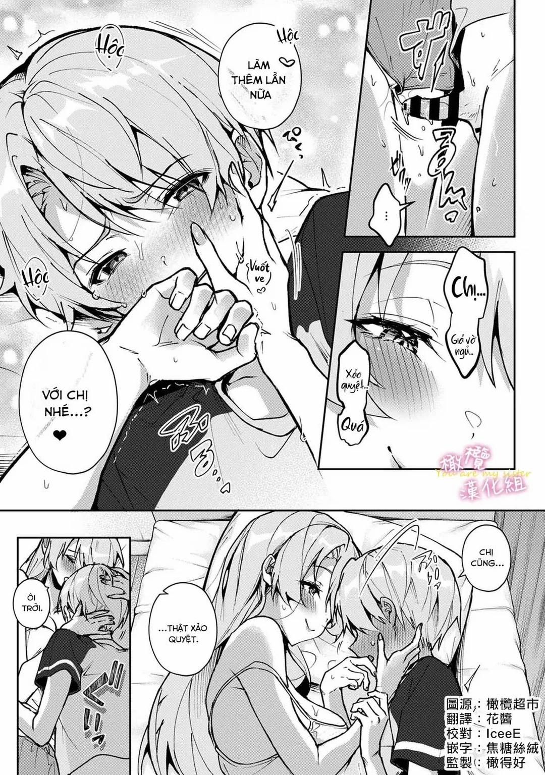 đọc truyện Chúng Tôi Là Tù Nhân Của Chị Gái Chương 0 ảnh 19 tại Thiên Thai Truyện